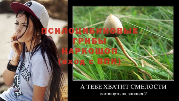 трава Абдулино